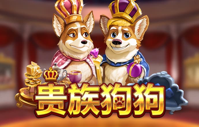 355彩票app下载