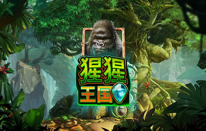 幻影体育app